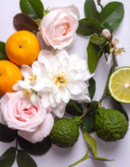 CAROLINA – perfumy do wnętrz Perfumy do wnętrz  – By Velcheva