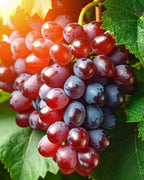 ROSSO – świeca zapachowa Świece zapachowe  – By Velcheva