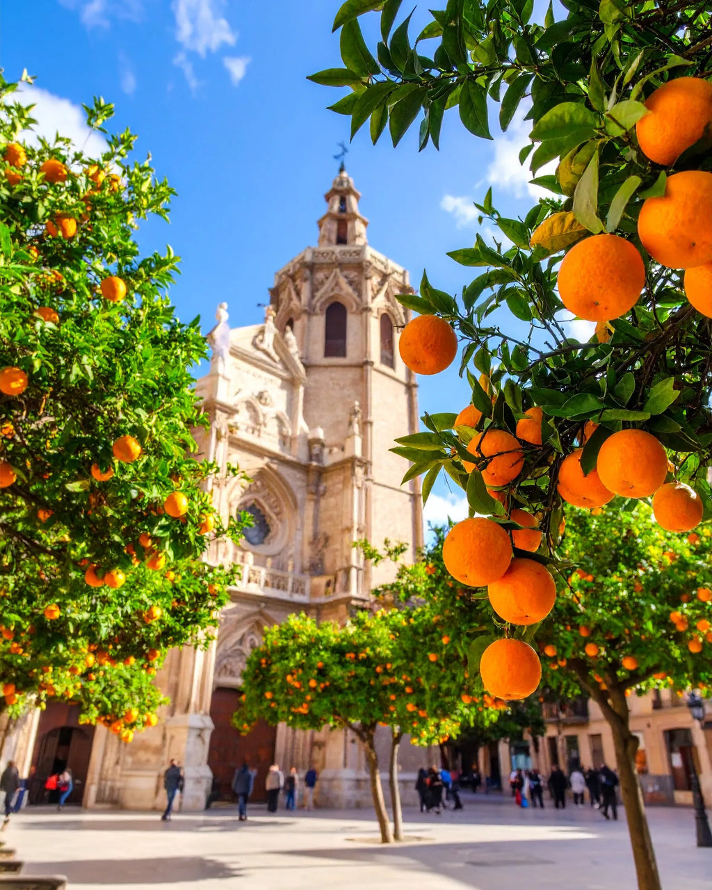VALENCIA – dyfuzor zapachowy z patyczkami Dyfuzory zapachowe z patyczkami  – By Velcheva